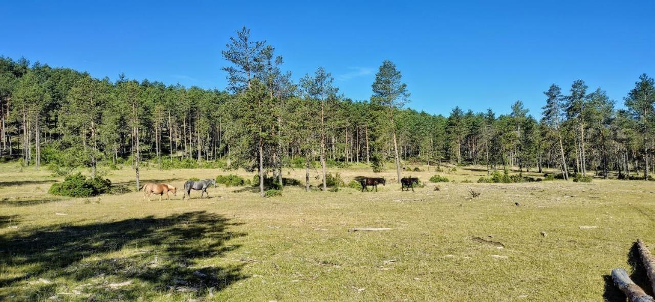 Alojamiento Rural Los Hacheros 트라가세테 외부 사진